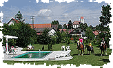Holiday apartment Mayer-hof, Germany, Baden-W�rttemberg, Upper Swabia, Ochsenhausen/Mittelbuch: Unser Pferde und der Pool