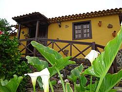 Ferienhaus Casa Rural Teneriffa-Nord 12048, Spanien, Teneriffa, Teneriffa-Nord, Icod de los Vinos